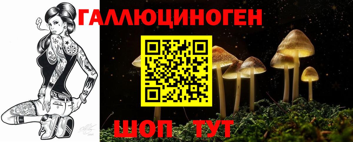 Галлюциногенные грибы Psilocybe  Псилоцибиновые грибы Cubensis  Вход с VPN  Калуга 